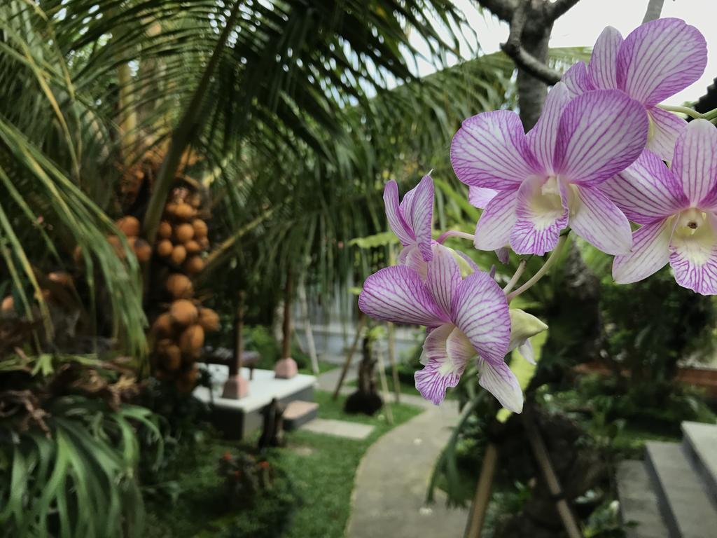 Dimuwa Ubud Buitenkant foto