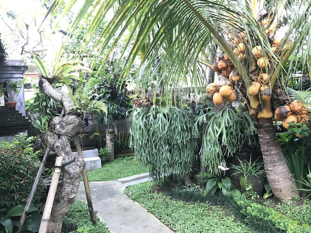 Dimuwa Ubud Buitenkant foto